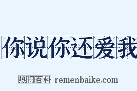你说你还爱我是什么意思的图片